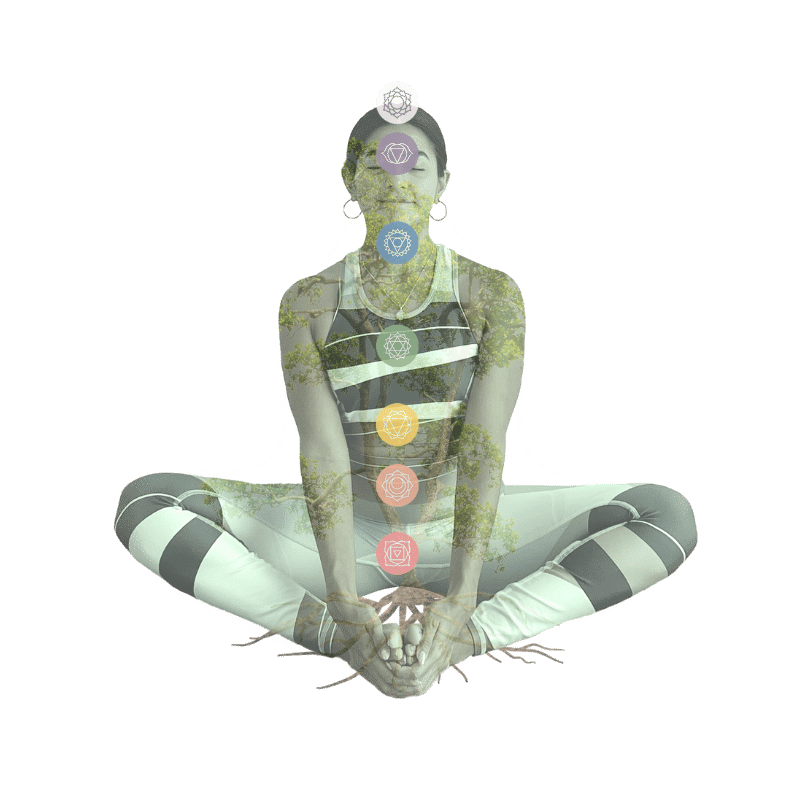 Curso online Yoga y chakras.
“Yoga para balancear y equilibrar los 7 chakras”